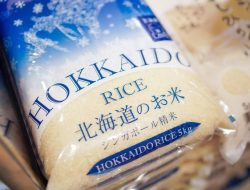 Mendagri Tito Karnavian Ungkap Alasan Beras Singapura Bisa Lebih Murah Dari RI