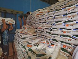 Anggota DPR Marah Harga Beras Mahal Tapi Gabah Rakyat Dibeli Murah: Apa Gunanya Bulog?