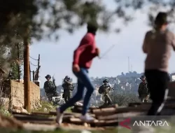 Dibantu Militer, Pemukim Ilegal Israel Serbu dan Usir Paksa Petani Palestina di Tepi Barat