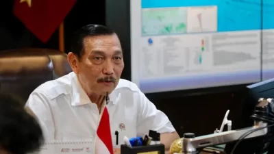 Gandeng China Garap Sawah di Kalteng, Menko Luhut Pede RI Tak Impor Beras Lagi