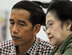 Projo Kritik Hasto Kristiyanto Beri Syarat Politis Untuk Jokowi Bertemu Megawati