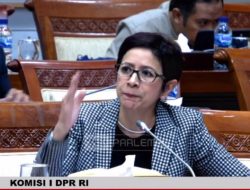 Nurul Arifin: Starlink Berpotensi Rugikan Industri Telekomunikasi Nasional!