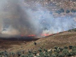 Tega! Israel Bakar Lumbung dan Kebun Zaitun Milik Warga Palestina di Khallet Hamad