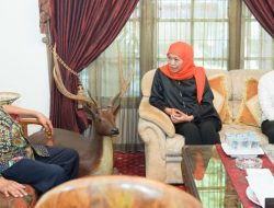 Keberlanjutan Khofifah-Emil Diyakini Bakal Bawa Jatim Maju Pesat