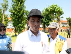 Pramono Anung dan Risma Mundur, Jokowi Buka Peluang Reshuffle Kabinet Lagi