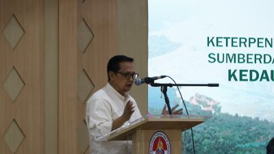 Didin Damanhuri; 10 Tahun Terakhir Jokowi Tinggalkan Banyak Upaya Bangun Kemandirian Ekonomi