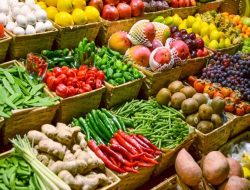 Menko Airlangga Proyeksikan Pertumbuhan Ekonomi RI Kuartal III/2024 Stabil di Angka 5,05 Persen