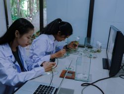 Mendukbangga, Wihaji Soal Fenomena Childfree: Kependudukan Indonesia Masih Terkendali