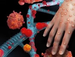 Kasus Cacar Monyet Meningkat Tajam Hingga 500 Persen di Afrika, 19 Negara Terdampak