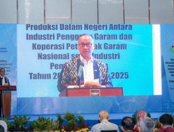 Strategi Menperin Agus Gumiwang Tekan Impor: Optimalkan Serapan Produk Garam Lokal