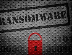 Menkomdigi Meutya Hafid Pastikan Tak Ada Serangan Siber Ransomware Pada Sistem BRI