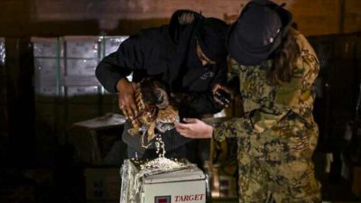 Pemberontak Suriah Temukan Pabrik Captagon Ilegal Milik Rezim Assad