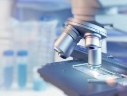 Penyakit Misterius Tewaskan 27 Warga, WHO Kirim Tim ke Barat Daya RD Kongo