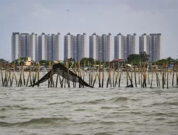Eks Bupati Tangerang, Ahmed Zaki Iskandar Akui Pagar Laut Sudah Ada Sejak 2014