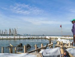 Menko Airlangga Pastikan Pagar Laut di Tangerang dan Bekasi Bukan Giant Sea Wall