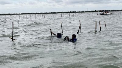 Firman Soebagyo Uraikan 3 Hal Penting Terkait Kasus Pagar Laut Tangerang