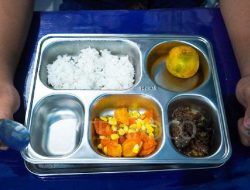 Mendukbangga Wihaji: Program Makan Bergizi Gratis Ibu Hamil Dimulai 20 Januari 2025