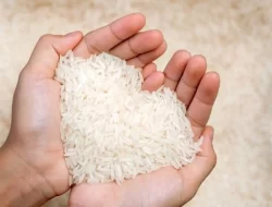 Jepang Krisis Beras, Harga Nyaris Tembus Rp. 100 Ribu Per Kilogram