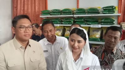 Wamendag Dyah Roro Esti Minta Pelaku Usaha Tak Timbun Bahan Pokok Jelang Lebaran 2025