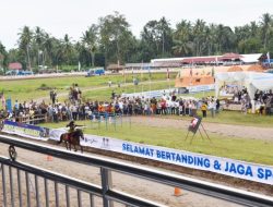 Bupati John Kenedy Azis Gelar Pacuan Kuda Lagi di Padang Pariaman Usai Vakum 8 Tahun