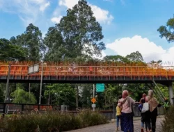 Wagub Rano Karno Buka 24 Jam Taman di Jakarta, Ini Daftarnya