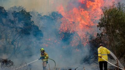 5 Negara Ini Tegas Tolak Bantu Padamkan Kebakaran di Israel