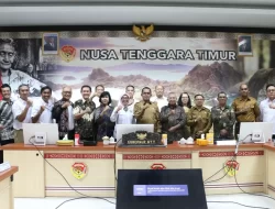 Gubernur NTT: Pengembangan Geothermal Upaya Pembangunan Industri Mendukung Investasi di NTT