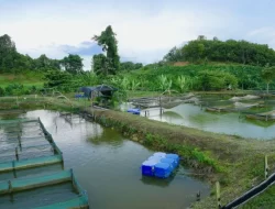 Mukhtarudin: Pengusaha Pertambangan Harus Prioritaskan Restorasi Ekologis Pasca Tambang