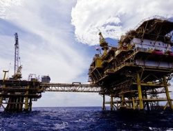 Menko Airlangga Ingatkan Jepang Serius Kerjakan Proyek Blok Masela