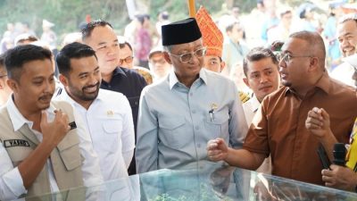 Zigo Rolanda Minta Pemerintah Akselerasi Pembangunan Infrastruktur Strategis