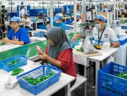 Mainan Anak Buatan RI Laku Keras di AS, Menperin Agus Gumiwang: Bukti Manufaktur Indonesia Tangguh!