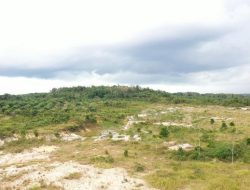 Menteri ATR/BPN Nusron Wahid Amankan 1,4 Juta Ha Tanah Telantar, Dibagikan ke Ormas?