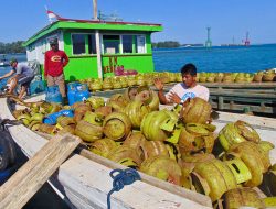 Cegah Kebocoran Subsidi, Menteri ESDM Bahlil Lahadalia Bakal Terapkan LPG Satu Harga