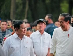 Menteri UMKM, Maman Abdurrahman: Prabowo Tak Pernah Lupa Jasa Jokowi!