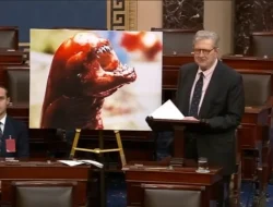 Senator John Kennedy: Orang AS Konsumsi Udang Beku Impor Indonesia Bisa Jadi Alien!