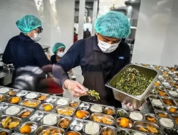 Ribuan Dapur MBG Diduga Fiktif, Komisi IX DPR RI Desak Perbaikan Sistem Verifikasi