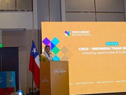 Wamendag Dyah Roro Esti Sebut Pengusaha Otomotif dan Sepatu RI Mulai Incar Chile