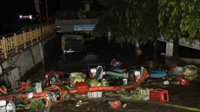 Hasan Basri Agus Desak Pemerintah Tinjau Ulang Tata Kelola DAS Pasca Banjir Bali