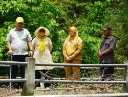 Ali Mufthi Respons Laporan Warga, Tinjau Langsung Jembatan Nyaris Ambruk di Ponorogo