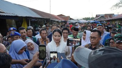 Tak Ada Anggaran Revitalisasi, Ini Solusi Wamendag Dyah Roro Bangun Pasar Rakyat