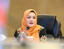 Tarif Nol Persen ke Eropa, Ade Rossi Dorong Sinergi Nasional Siapkan UMKM Ekspor Produk Lokal