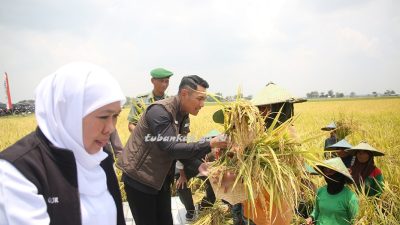 Bupati Tuban Aditya Halindra Kirim Doa dan Karya Terbaik Untuk Jawa Timur di Usia ke-80