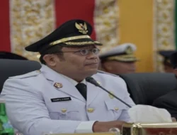 Walikota Sabang Usul Legalisasi Ganja di Aceh Gantikan Dana Otsus: Pasti Laku Keras!