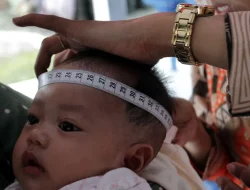 Mendukbangga Wihaji: Program MBG Tunjukkan Dampak Positif Penurunan Stunting