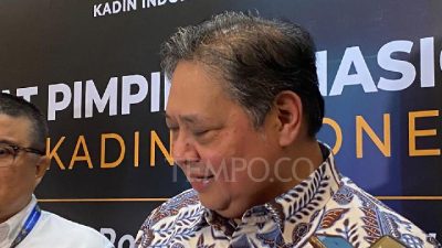 Menko Airlangga Dorong Implementasi AI Demi Tingkatkan Layanan Kesehatan Secara Presisi