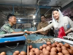 Wamendag Dyah Roro Esti Sidak Pasar Cisalak, Pastikan Harga Kebutuhan Pokok Stabil Jelang Ramadhan 1447 H