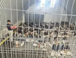Hamas Kecam Brutalitas Penjara Israel: Kejahatan Perang di Bawah Kendali Menteri Itamar Ben-Gvir