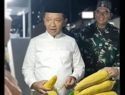 Menteri ESDM Bahlil Lahadalia Borong Jagung Warga Hingga Mancing Ikan Sambil Nostalgia di Fakfak