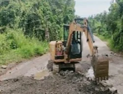 Gubernur Kaltim Rudy Mas’ud Pilih Perbaiki Jalan Trans Kalimantan Daripada Proyek Jembatan Fantastis