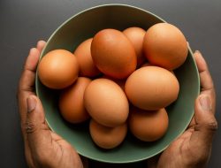Harga Telur Merosot, Peternak Menderita! Sarmuji Dorong Intervensi Cepat Pemerintah